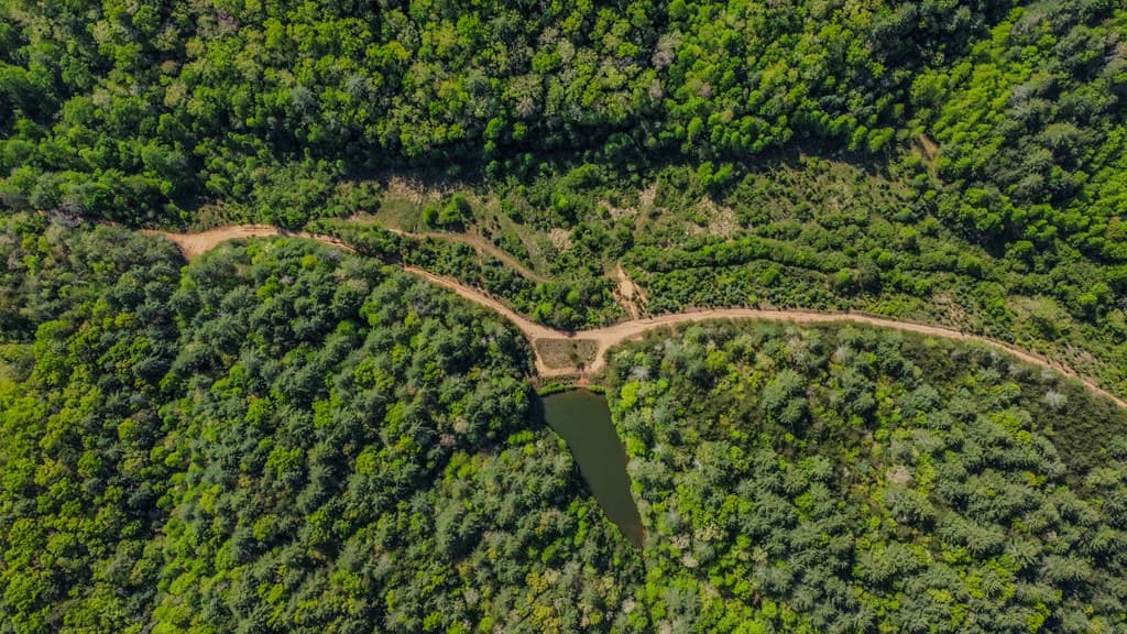 80 Acres Valley Lake Road, Mineral Bluff GA 30559 - Photo