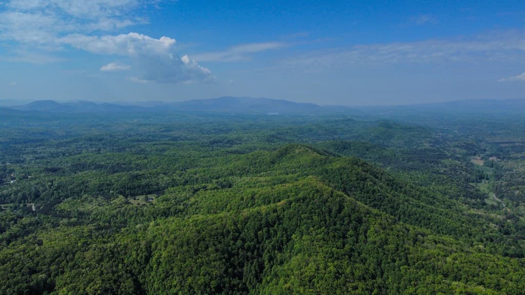 80 Acres Valley Lake Road, Mineral Bluff GA 30559 - Photo