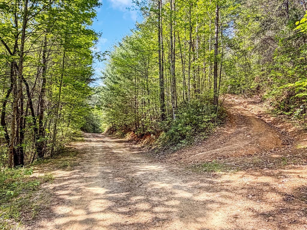 80 Acres Valley Lake Road, Mineral Bluff GA 30559 - Photo