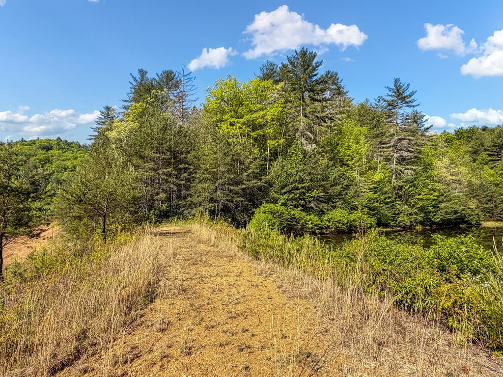 80 Acres Valley Lake Road, Mineral Bluff GA 30559 - Photo