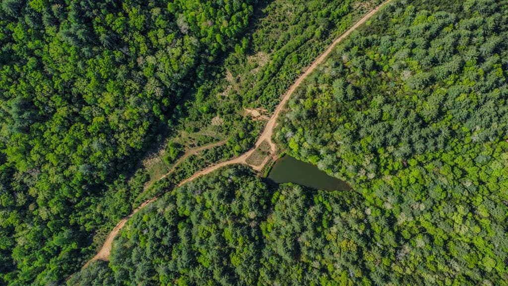80 Acres Valley Lake Road, Mineral Bluff GA 30559 - Photo