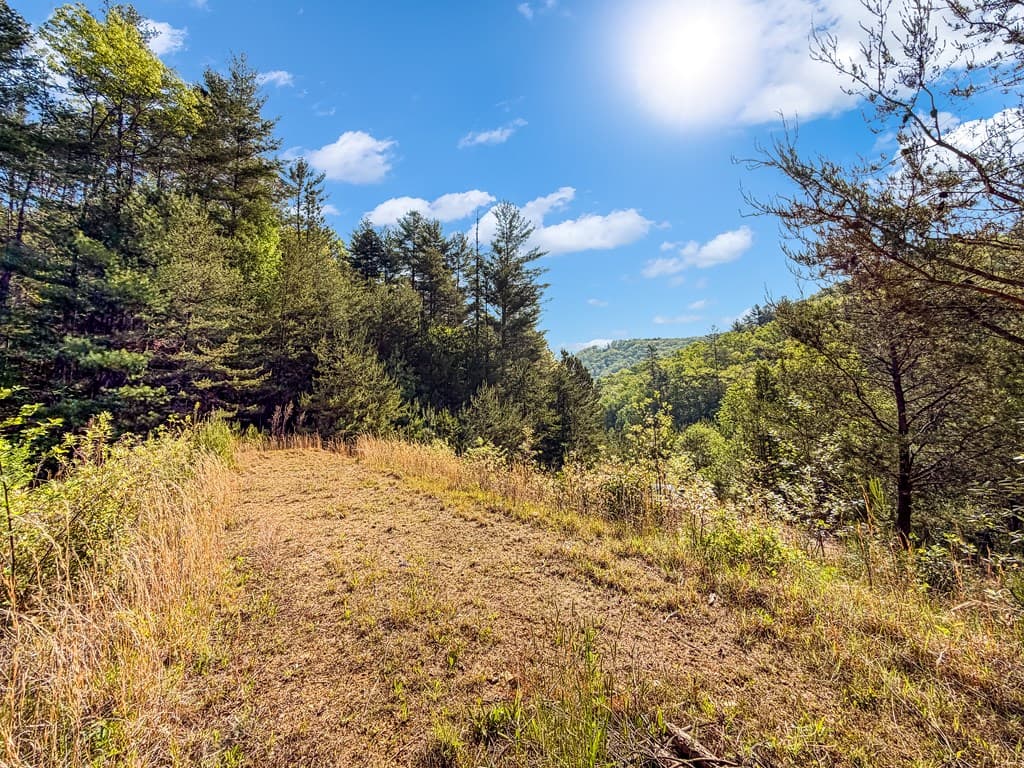 80 Acres Valley Lake Road, Mineral Bluff GA 30559 - Photo