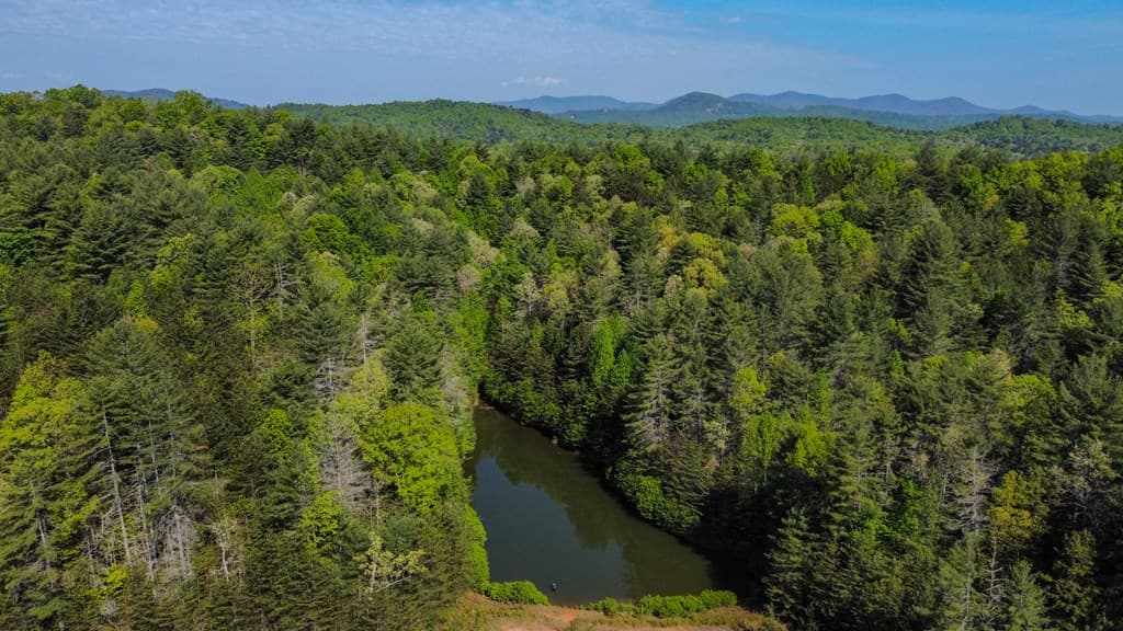 80 Acres Valley Lake Road, Mineral Bluff GA 30559 - Photo
