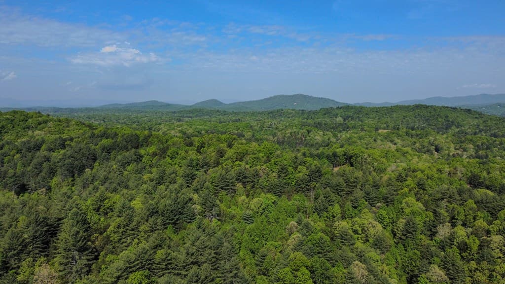 80 Acres Valley Lake Road, Mineral Bluff GA 30559 - Photo