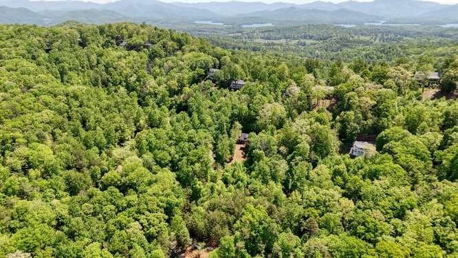 238 Ridge View Lane, Hayesville NC 28904 - Photo