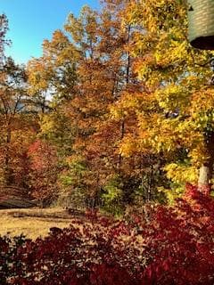 238 Ridge View Lane, Hayesville NC 28904 - Photo