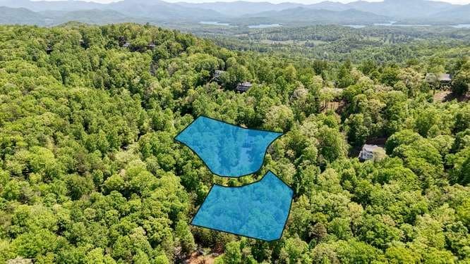 238 Ridge View Lane, Hayesville NC 28904 - Photo