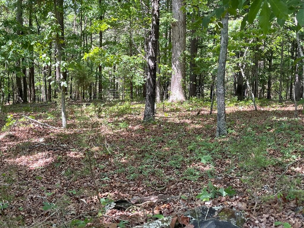 Lot 1 Chalcrest Way, Cave Spring GA 30124 - Photo
