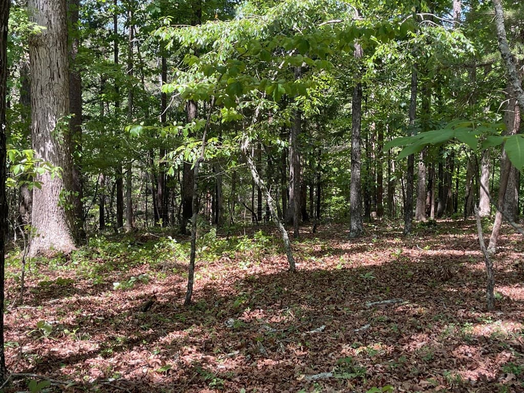 Lot 1 Chalcrest Way, Cave Spring GA 30124 - Photo