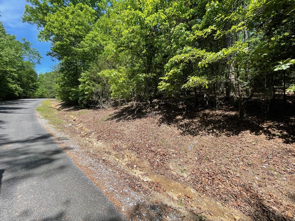Lot 1 Chalcrest Way, Cave Spring GA 30124 - Photo