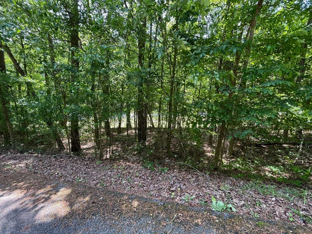Lot 1 Chalcrest Way, Cave Spring GA 30124 - Photo