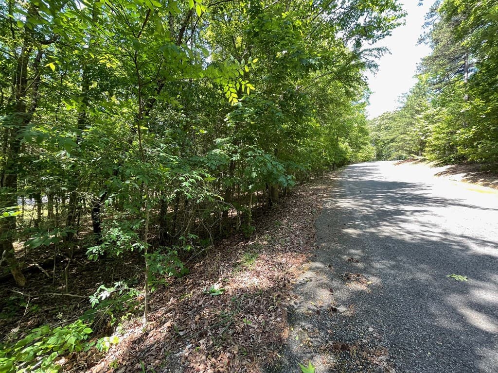 Lot 1 Chalcrest Way, Cave Spring GA 30124 - Photo