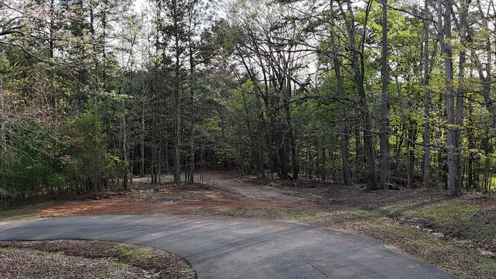 Lot 1 Chalcrest Way, Cave Spring GA 30124 - Photo