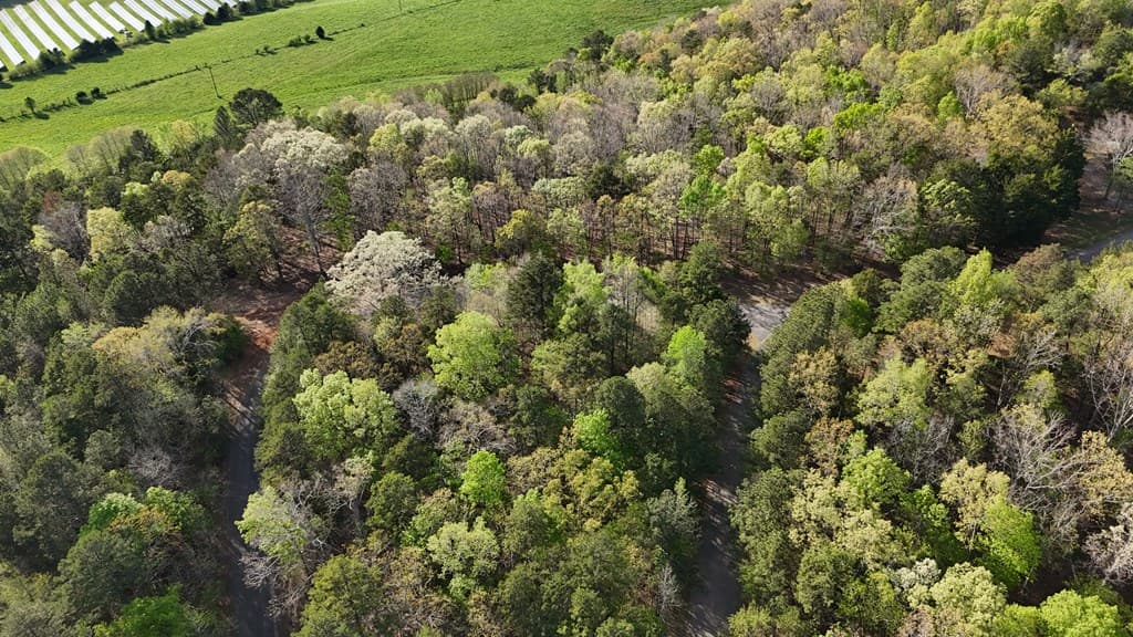 Lot 1 Chalcrest Way, Cave Spring GA 30124 - Photo