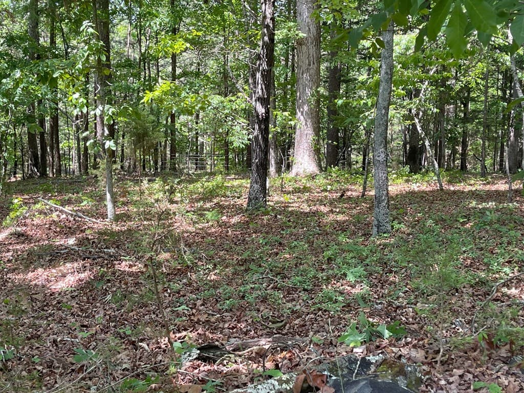 Lot 1 Chalcrest Way, Cave Spring GA 30124 - Photo