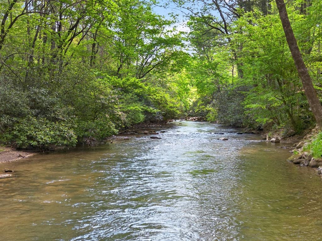 315 Fightingtown Drive, Blue Ridge GA 30513 - Photo