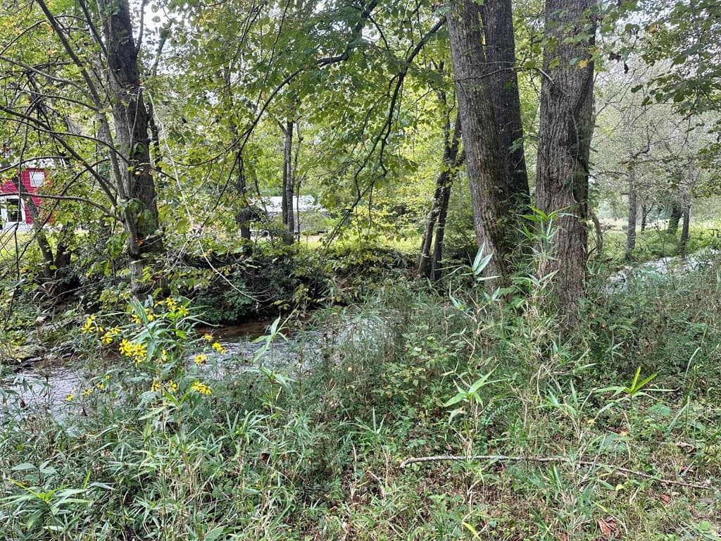 TBD Creekfront Lane, Hayesville NC 28904 - Photo