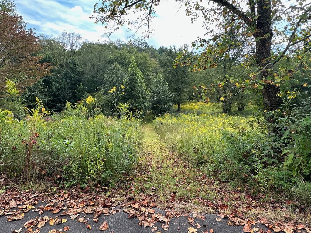 TBD Creekfront Lane, Hayesville NC 28904 - Photo