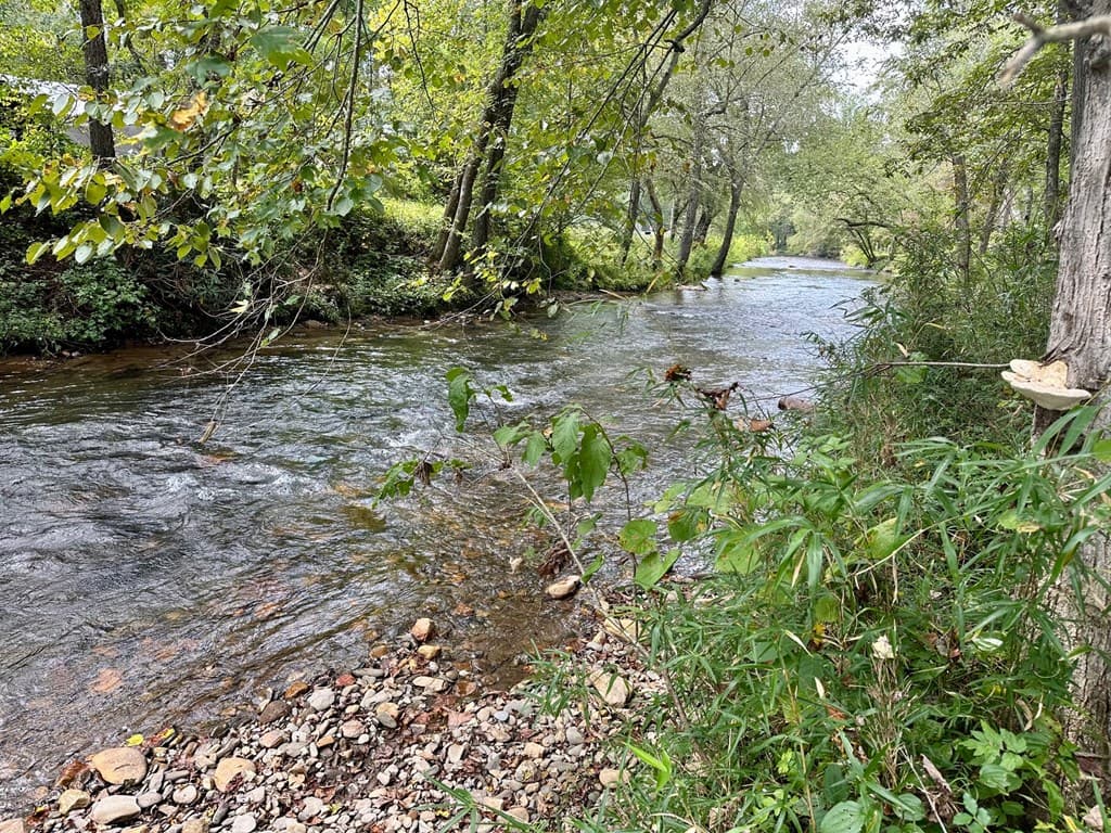 TBD Creekfront Lane, Hayesville NC 28904 - Photo