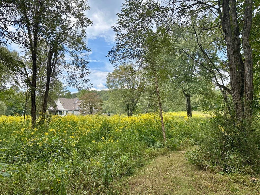 TBD Creekfront Lane, Hayesville NC 28904 - Photo