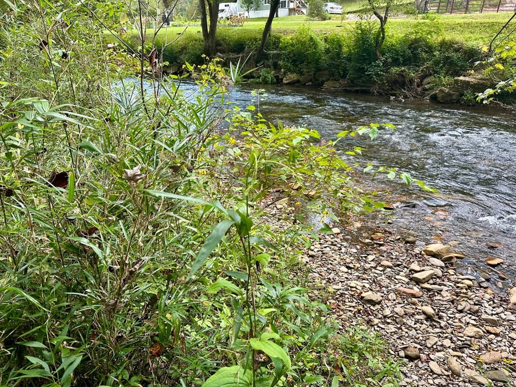TBD Creekfront Lane, Hayesville NC 28904 - Photo