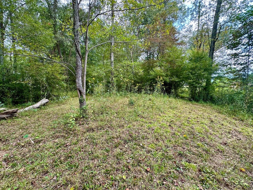 TBD Creekfront Lane, Hayesville NC 28904 - Photo