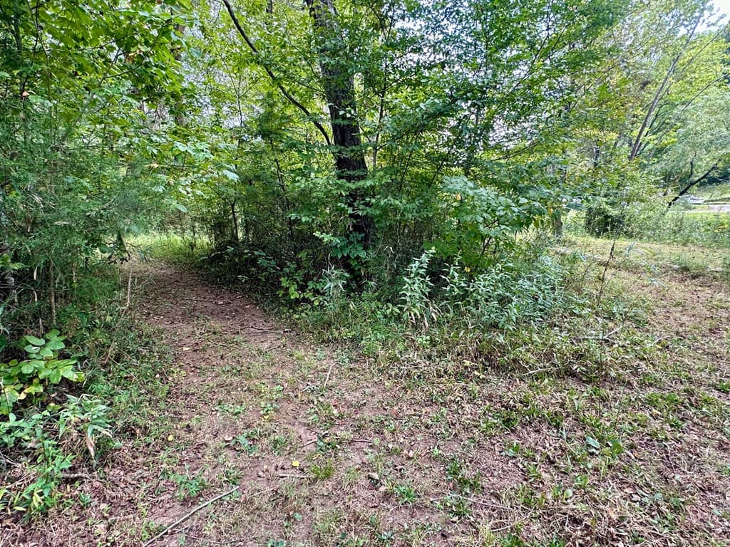 TBD Creekfront Lane, Hayesville NC 28904 - Photo
