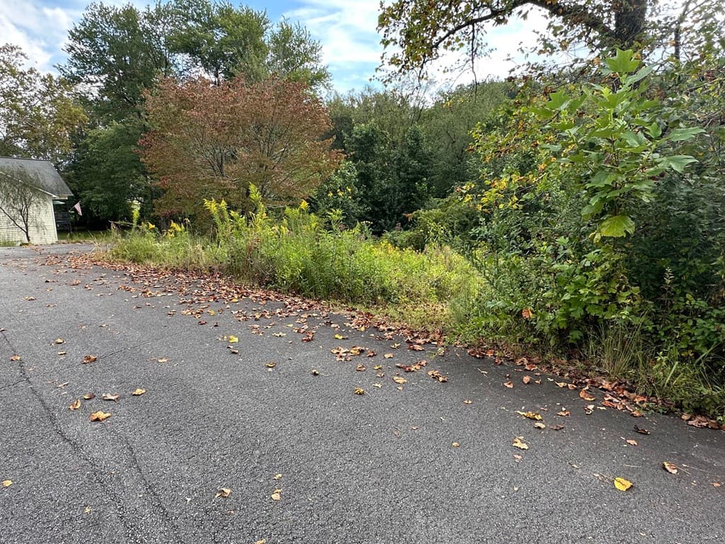 TBD Creekfront Lane, Hayesville NC 28904 - Photo