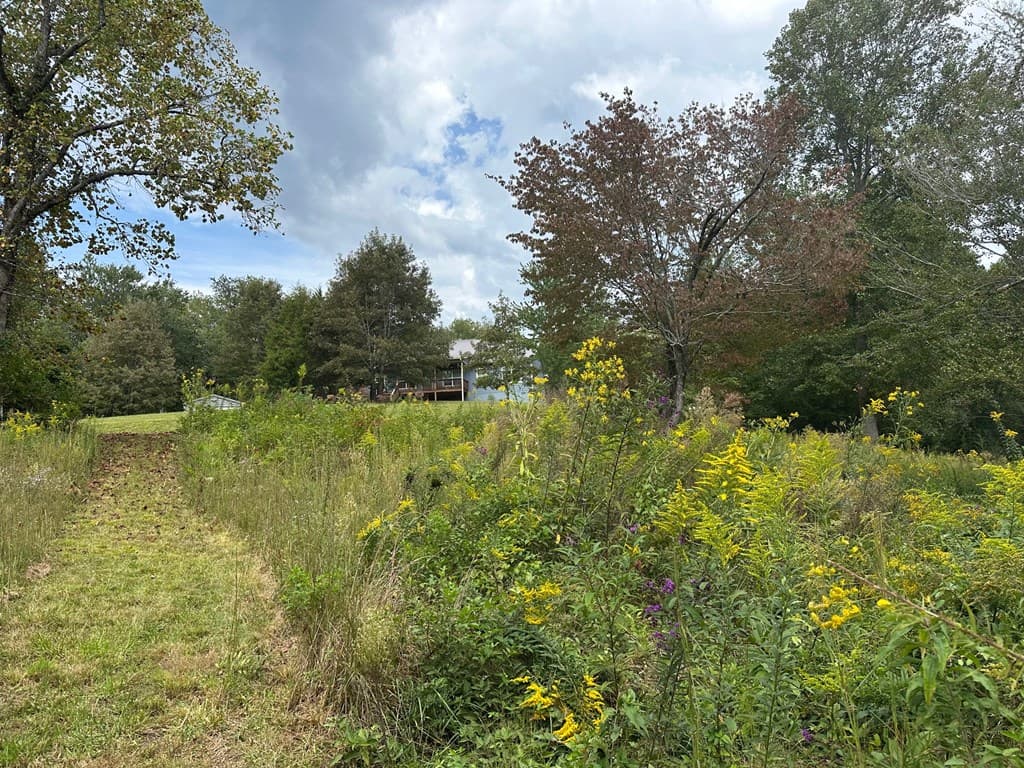 TBD Creekfront Lane, Hayesville NC 28904 - Photo