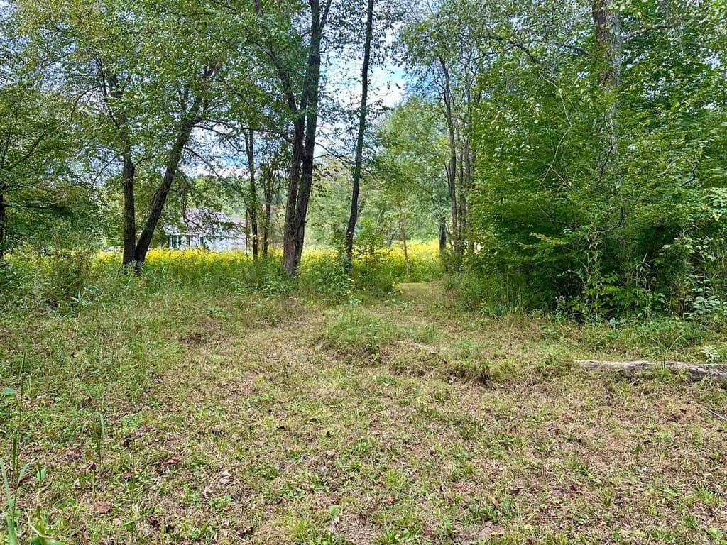 TBD Creekfront Lane, Hayesville NC 28904 - Photo