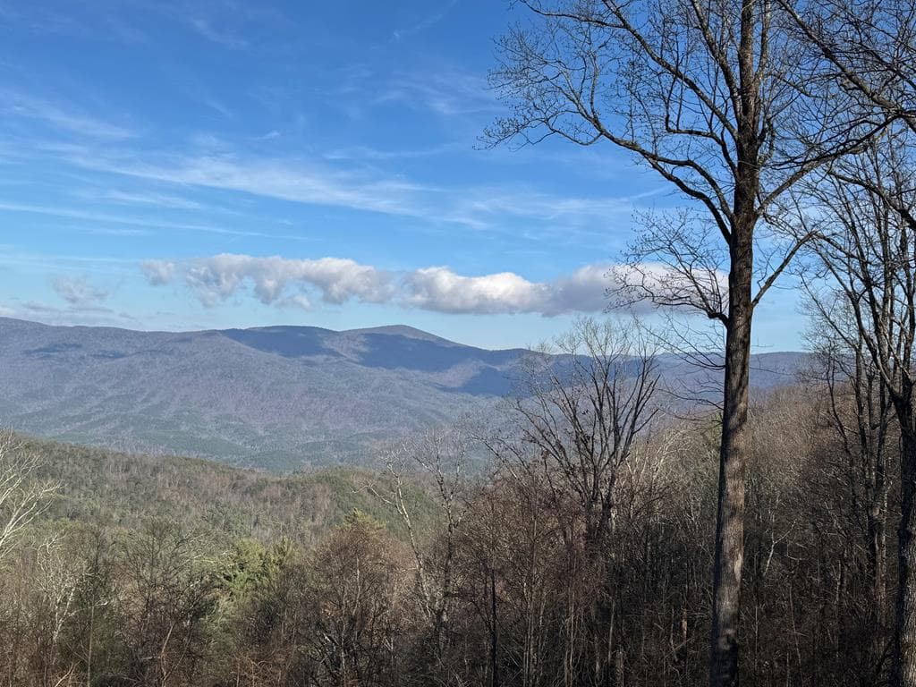 30 Wilderness View, Ellijay GA 30540 - Photo