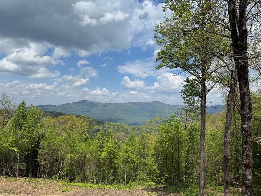 30 Wilderness View, Ellijay GA 30540 - Photo