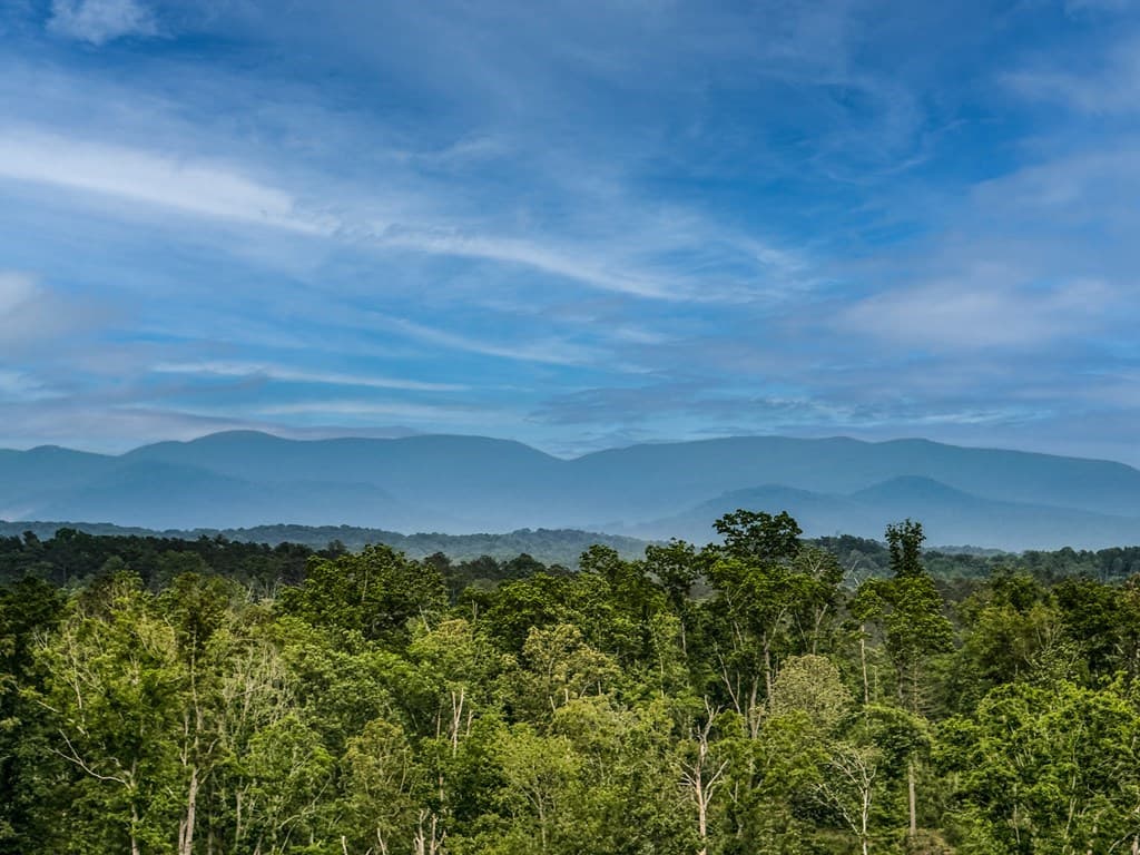 278 Oakwood Lane, Ellijay GA 30540 - Photo