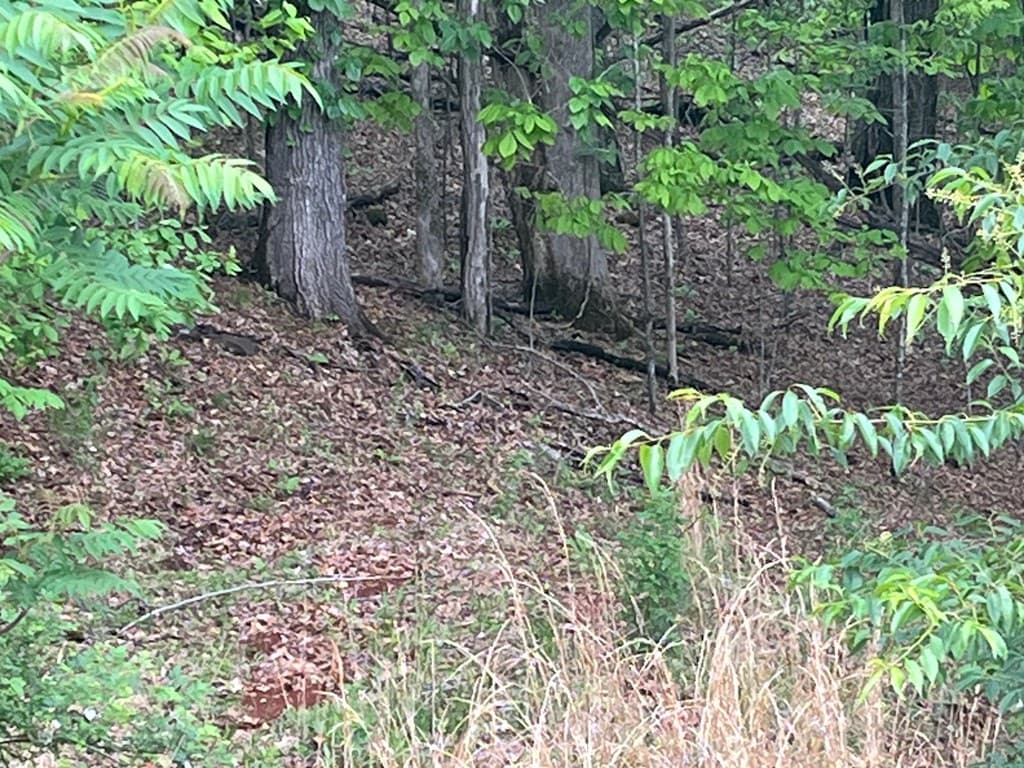 Lot 10 Summit Trail, Hiawassee GA 30546 - Photo