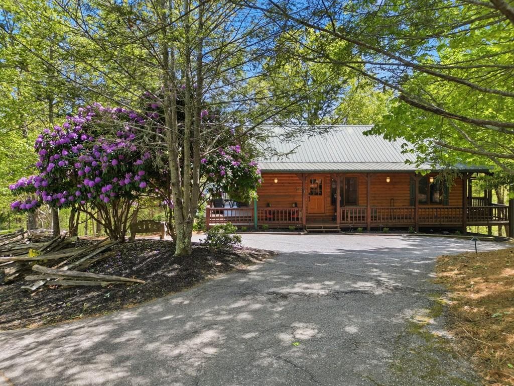 287 Necowa Cove Overlook, Blue Ridge GA 30513 - Primary photo