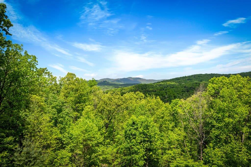 607 Rhonda Lane, Mineral Bluff GA 30559 - Photo