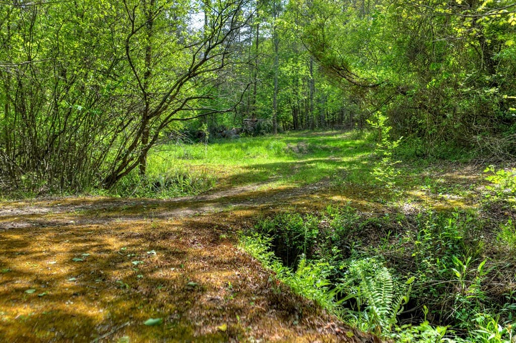 111 Candlewood Lane, Blue Ridge GA 30513 - Photo