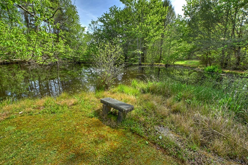 111 Candlewood Lane, Blue Ridge GA 30513 - Photo