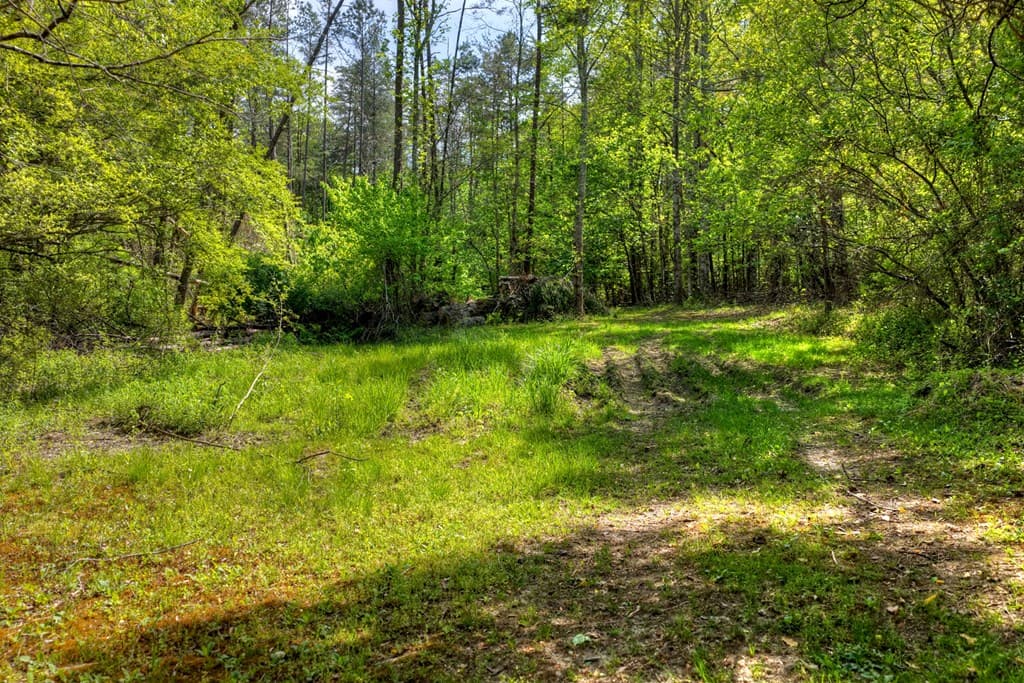 111 Candlewood Lane, Blue Ridge GA 30513 - Photo