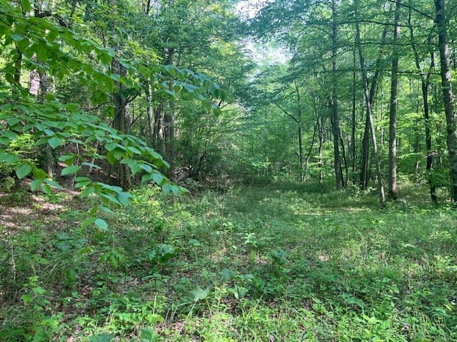 15/15A Highlands@high Tower, Hiawassee GA 30546 - Photo