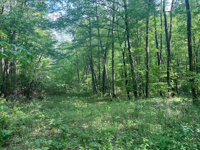 15/15A Highlands@high Tower, Hiawassee GA 30546 - Photo