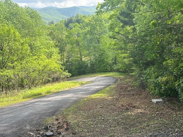 15/15A Highlands@high Tower, Hiawassee GA 30546 - Primary photo
