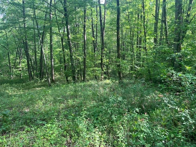 15/15A Highlands@high Tower, Hiawassee GA 30546 - Photo