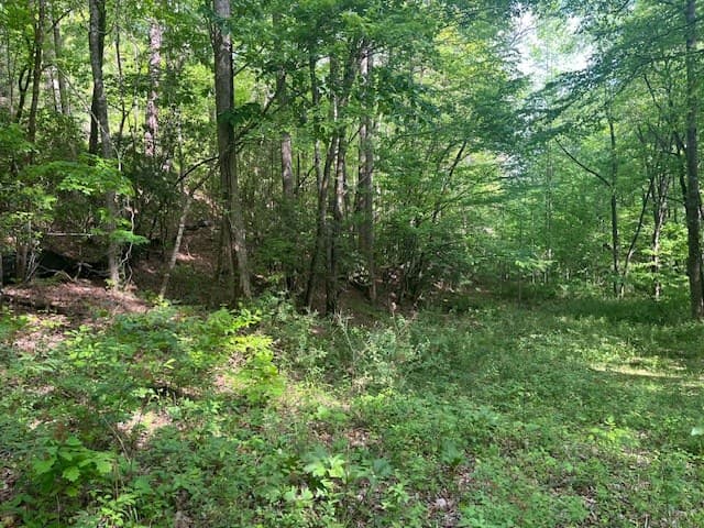 15/15A Highlands@high Tower, Hiawassee GA 30546 - Photo