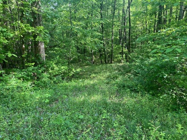 15/15A Highlands@high Tower, Hiawassee GA 30546 - Photo