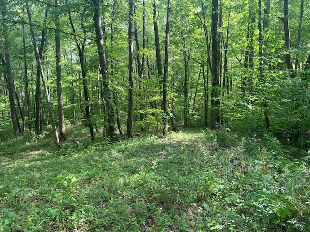 15/15A Highlands@high Tower, Hiawassee GA 30546 - Photo