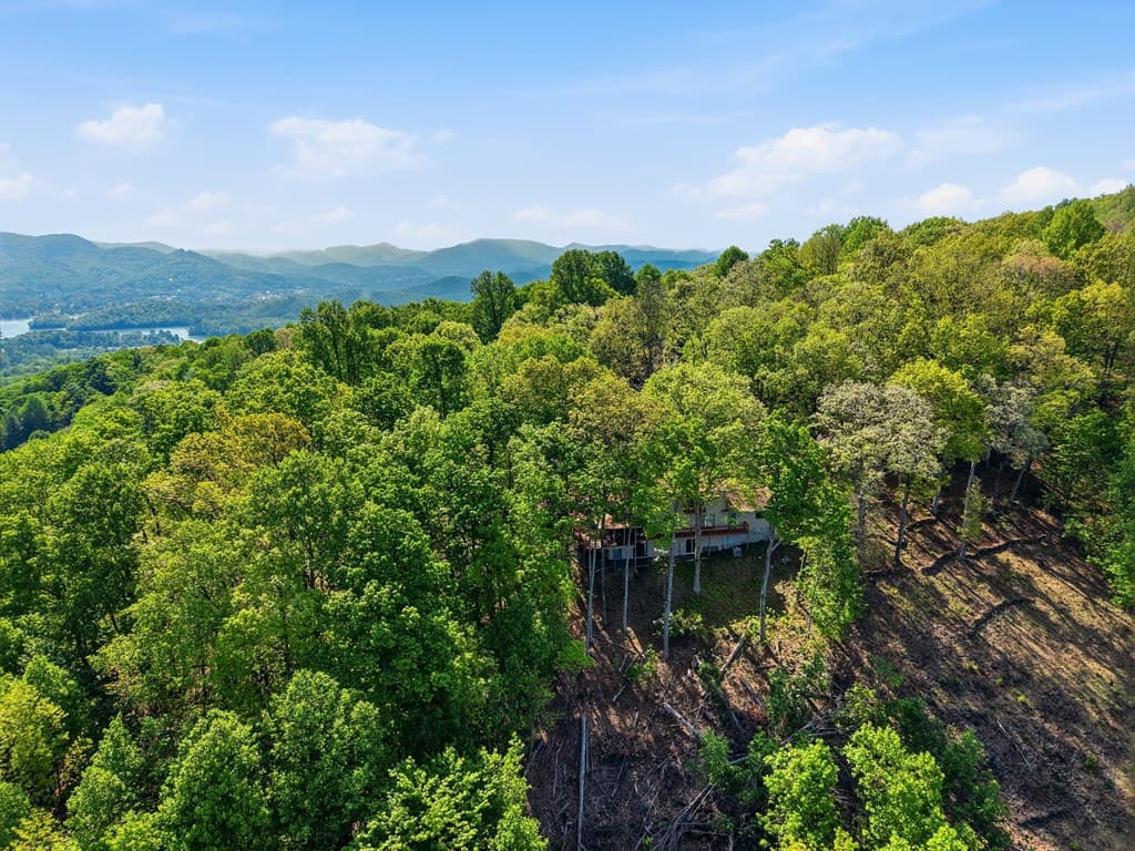 860 Frog Pond Road, Hiawassee GA 30546 - Photo