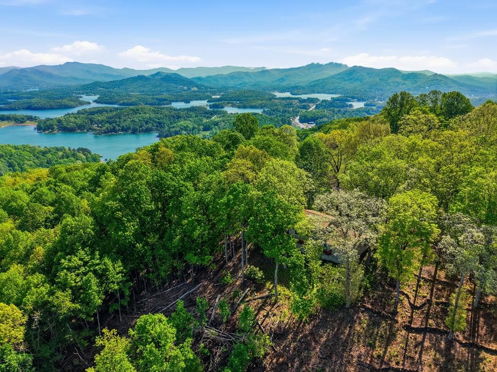 860 Frog Pond Road, Hiawassee GA 30546 - Photo