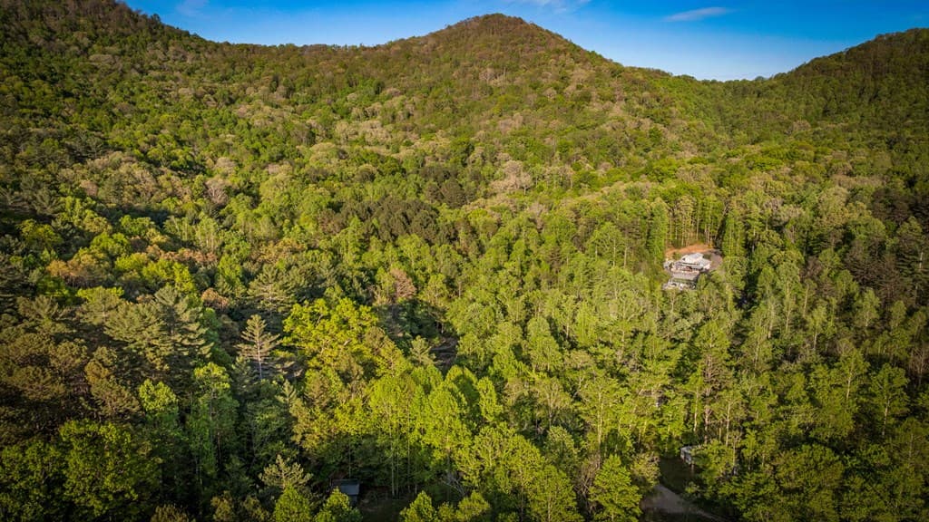 391 Forest Service 117 Road, Blairsville GA 30512 - Photo