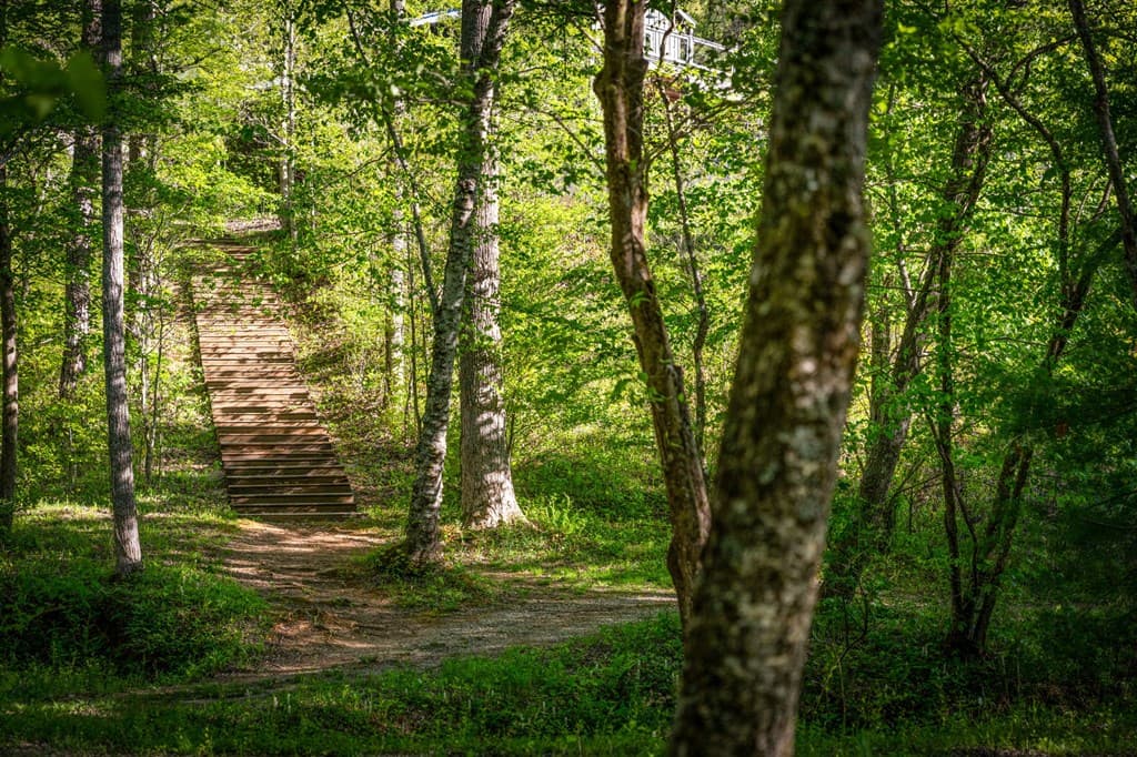 391 Forest Service 117 Road, Blairsville GA 30512 - Photo